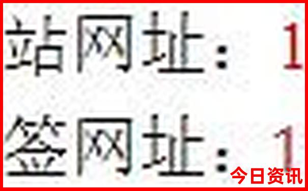一码一肖一特一子
